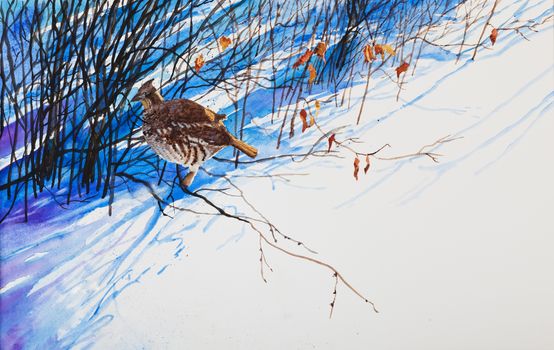 A prairie winter scene of a  prairie chicken hiding in the tall shadows cast by the shrubbery.  An original watercolor painting.