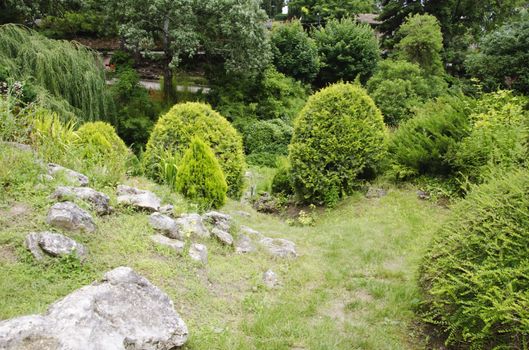 Gardening and Landscaping With Decorative Trees and Plants 