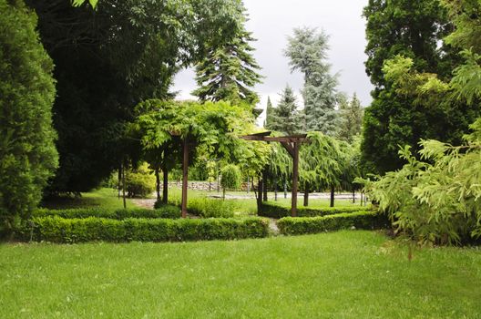 Gardening and Landscaping With Decorative Trees and Plants 