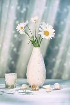 Summer daisies in vase on table