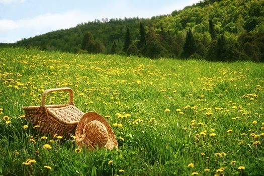 Picnic basket in the tall grass