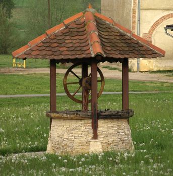 beautiful fountain in a meadow full of dried dandelions      