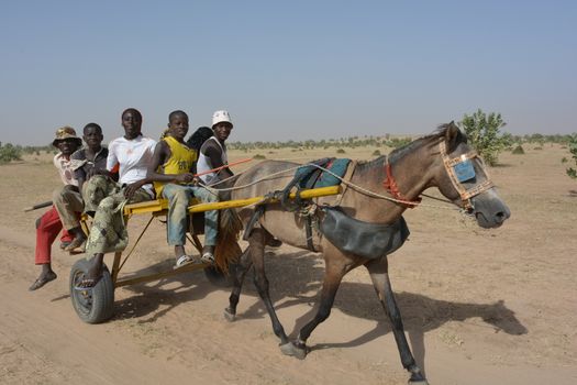 MATAM,SENEGAL-CIRCA NOVEMBER 2013:a group of kids from the Peul tribe uses the horse and carriage as transport in the desert,circa November 2013.