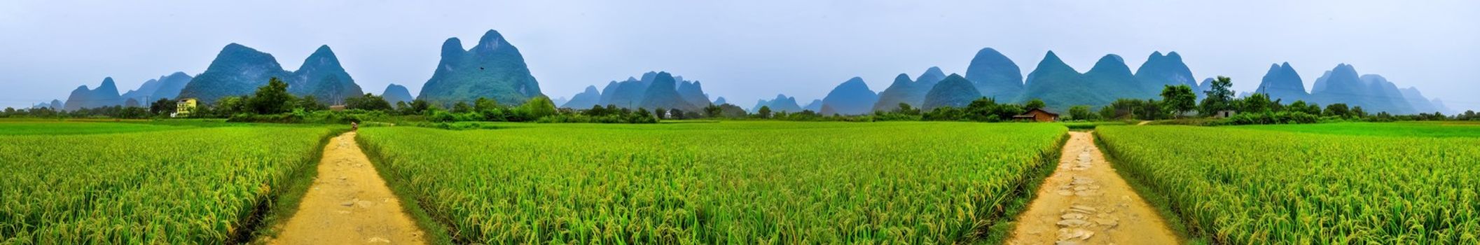 Beautiful Li river bamboo side Karst mountain landscape in Yangshuo Guilin, China