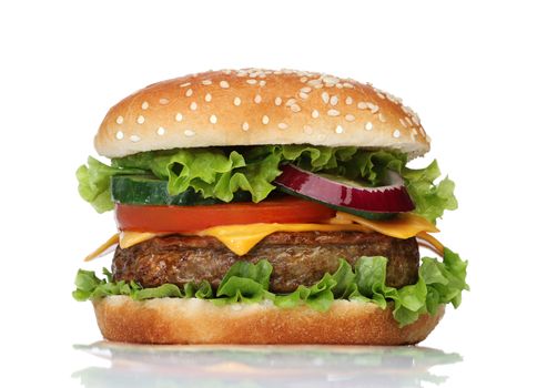 Tasty hamburger isolated on white background