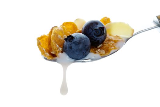 Hearty oat and wheat flake cereal with crunchy almonds and fresh blueberries.  Shot on white background.