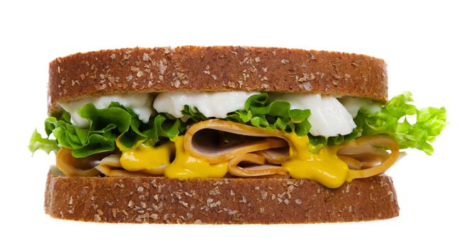 Special of the day:  a moist chicken sandwich on whole wheat, multi-grain bread.  Studio isolated on white background.