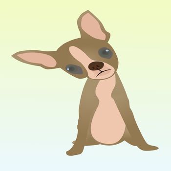 Vector of chihuahua puppy sitting and looking at camera