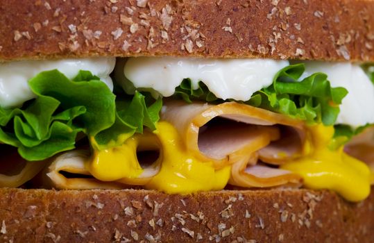 A moist chicken sandwich on whole wheat, multi-grain bread.  Macro with shallow DOF.