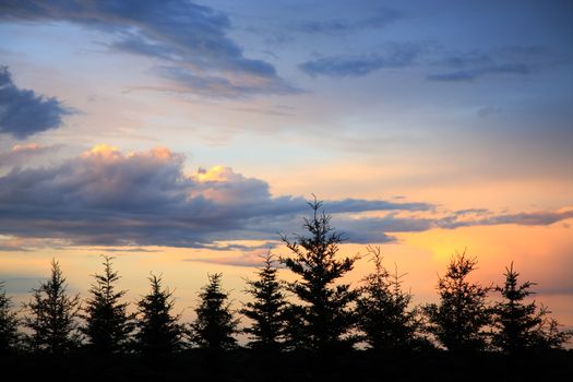 The sun sets as storm clouds begin to part over an evergreen windbreak.  Northern Saskatchewan, Canada.