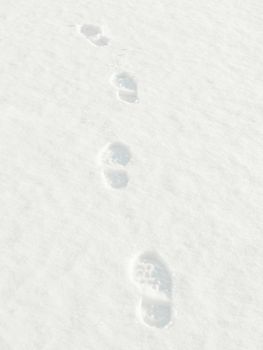 Footprints in the snow.