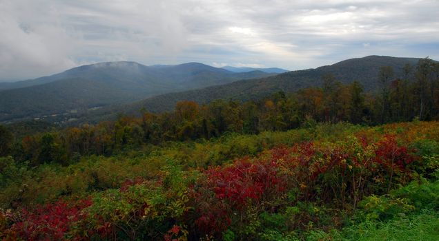 Fall Colors of autumn in Shenandoah National Park Virginia