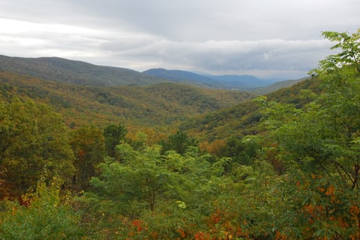 Green Valley in Shenandoah National Park Virginia