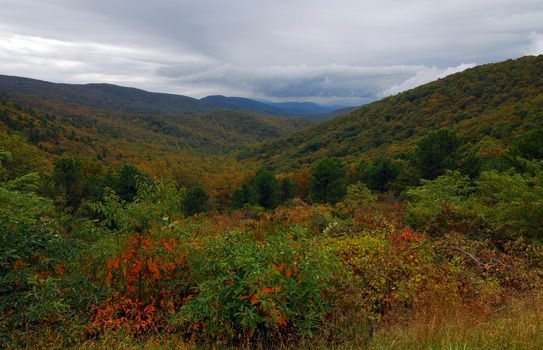 Fall Colors of autumn in Shenandoah National Park Virginia