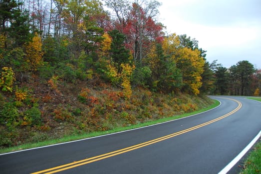 Fall Colors of autumn in Skyline Drive Shenandoah National Park Virginia