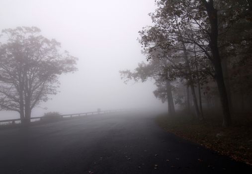 Foggy forest road highway with two lanes and trees