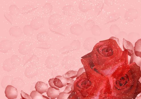 Red roses and petals on pink background