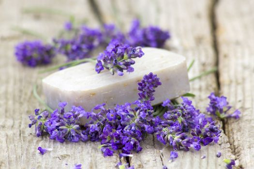 bar of natural soap and lavender flowers