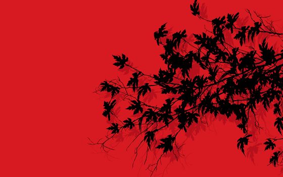 Tree branches with leaves slhouettes over red background