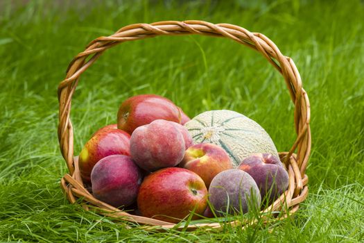 fruits in a basket in summer grass