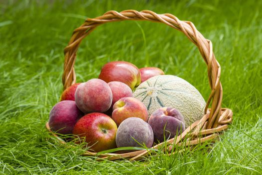 fruits in a basket in summer grass