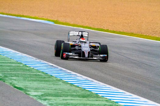 JEREZ DE LA FRONTERA, SPAIN - JAN 31: Adrian Sutil of Sauber F1 races on training session on January 31 , 2014, in Jerez de la Frontera , Spain