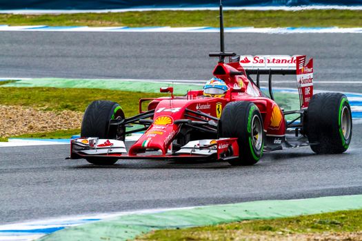 JEREZ DE LA FRONTERA, SPAIN - JAN 31: Fernando Alonso of Scuderia Ferrari F1 races on training session on January 31 , 2014, in Jerez de la Frontera , Spain