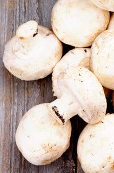 Heap of Big Raw Freshly Picked Champignons on Rustic Wooden background. Top View