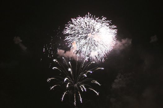 Colorful firework in the black night sky