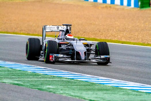 JEREZ DE LA FRONTERA, SPAIN - JAN 31: Adrian Sutil of Sauber F1 races on training session on January 31 , 2014, in Jerez de la Frontera , Spain