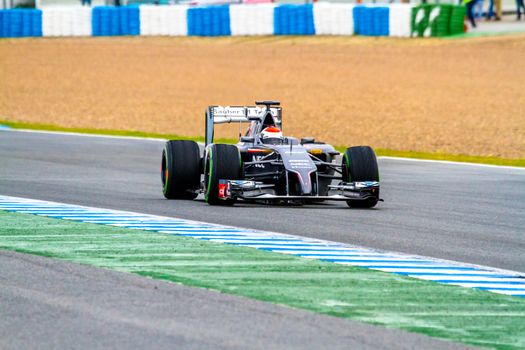 JEREZ DE LA FRONTERA, SPAIN - JAN 31: Adrian Sutil of Sauber F1 races on training session on January 31 , 2014, in Jerez de la Frontera , Spain