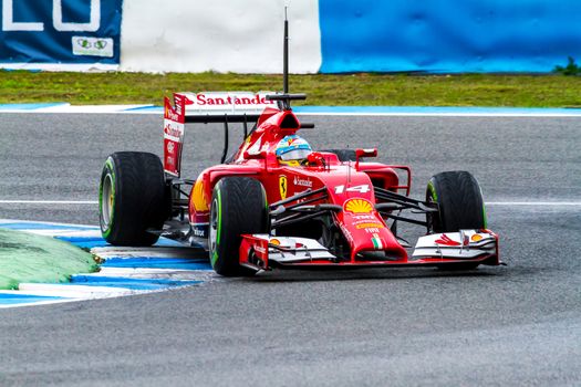 JEREZ DE LA FRONTERA, SPAIN - JAN 31: Fernando Alonso of Scuderia Ferrari F1 races on training session on January 31 , 2014, in Jerez de la Frontera , Spain