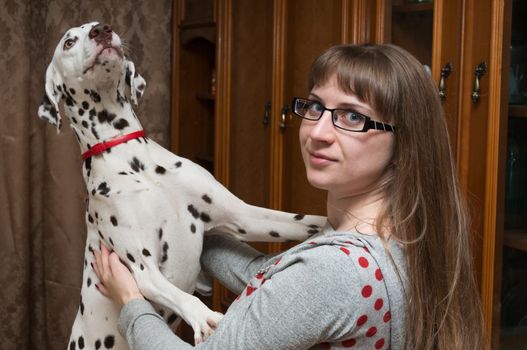 The dalmatian stands on hinder legs leaning on shoulders of the girl