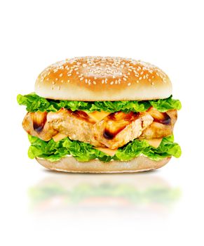 Delicious chicken burger with beef, tomato, cheese and lettuce on white background with clipping path.