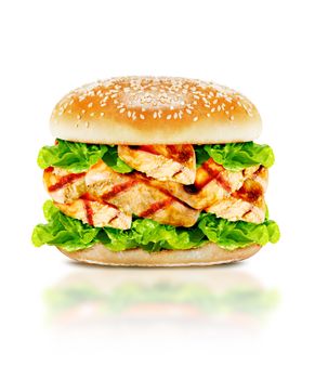 Delicious chicken burger with beef, tomato, cheese and lettuce on white background with clipping path.