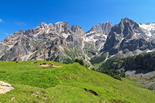 summer view of Marmolada and Vernel mount from Contrin valley, Trentino, Italy