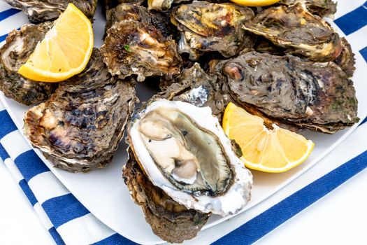 Lots of oysters on a dish with lemon