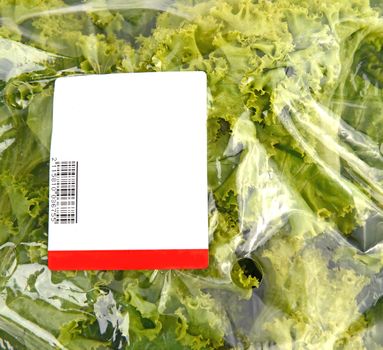 iceberg lettuce in plastic bag package with price tag