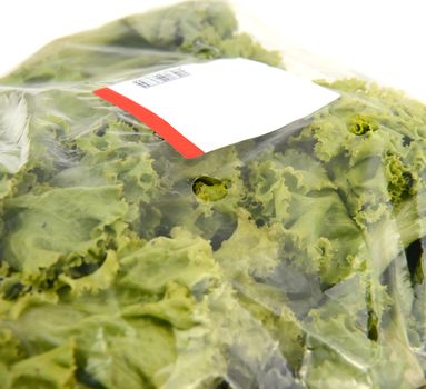 iceberg lettuce in plastic bag package with price tag
