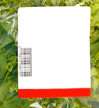 iceberg lettuce in plastic bag package with price tag