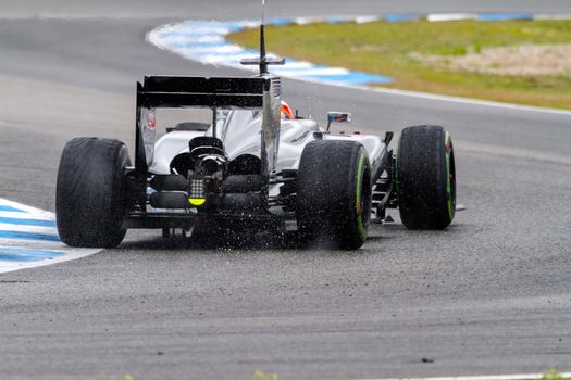 JEREZ DE LA FRONTERA, SPAIN - JAN 31:  Kevin Magnussen of McLaren F1 races on training session on January 31 , 2014, in Jerez de la Frontera , Spain