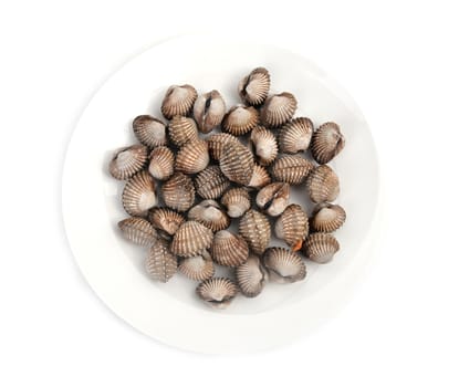 blood cockle cooked on a white dish