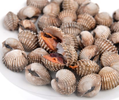 blood cockle cooked on a white dish