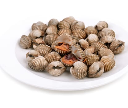 blood cockle cooked on a white dish