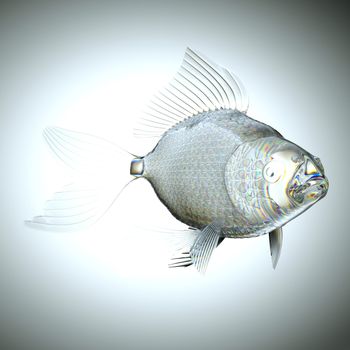 Glassy semitransparent fish with scales and fins. Large resolution