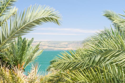 Lake Kinneret or Sea of Galilee in the frame of palm fronds with clear blue sky