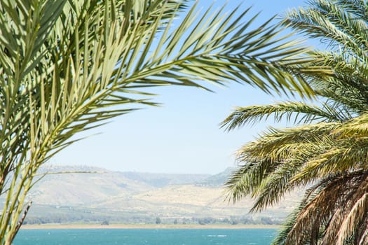Kinneret lake or Galilee sea and Golan Heights in the palm leaves with clear blue sky