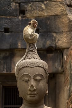 Monkey sitting perched on buddha head in Thailand.