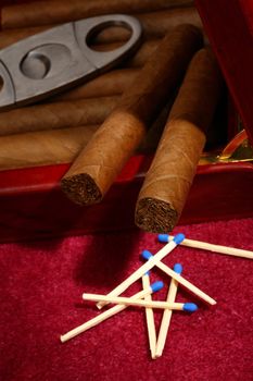 cigars in the box and matchsticks, close up shallow dof