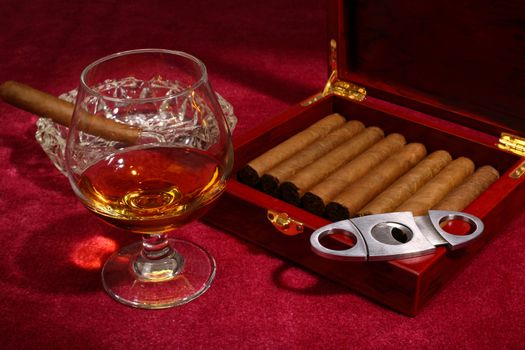 cigars in the box and glass with whisky, close up shallow dof 